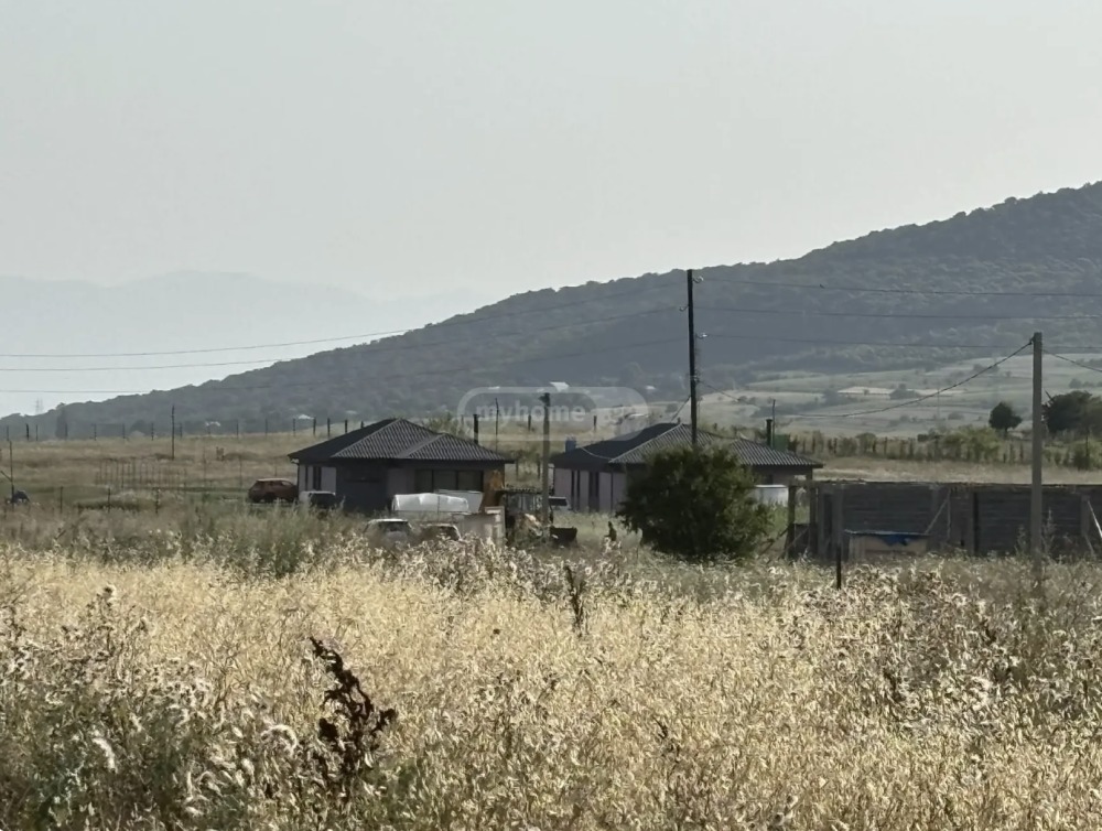 იყიდება სასოფლო სამეურნეო მიწის ნაკვეთი დუშეთის მუნივიპალიტეტში